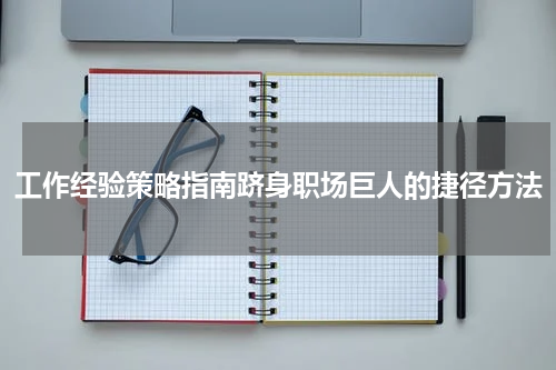 工作经验策略指南跻身职场巨人的捷径方法