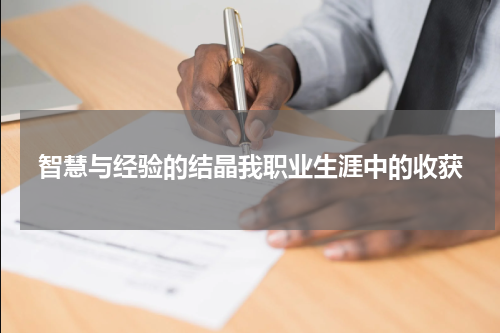 智慧与经验的结晶我职业生涯中的收获