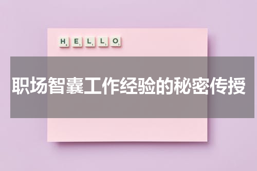 职场智囊工作经验的秘密传授