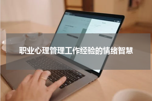 职业心理管理工作经验的情绪智慧