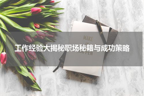 工作经验大揭秘职场秘籍与成功策略