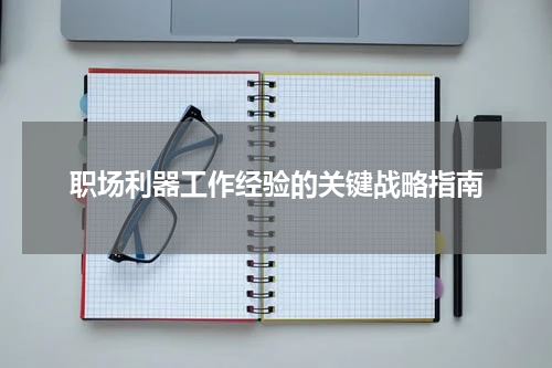 职场利器工作经验的关键战略指南