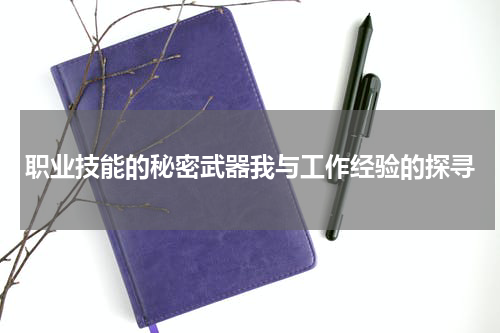 职业技能的秘密武器我与工作经验的探寻