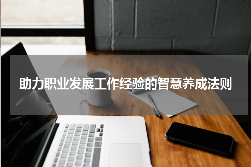 助力职业发展工作经验的智慧养成法则