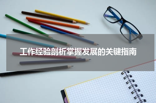 工作经验剖析掌握发展的关键指南