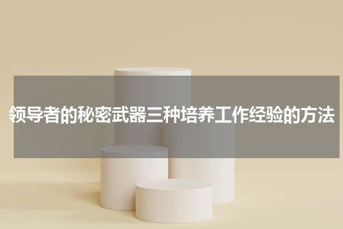 领导者的秘密武器三种培养工作经验的方法