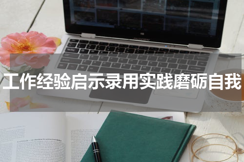 工作经验启示录用实践磨砺自我
