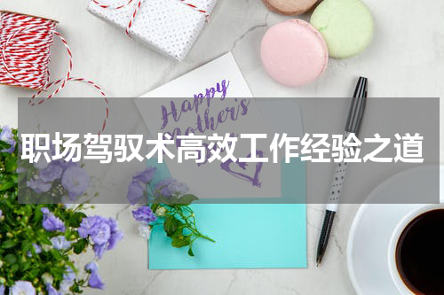 职场驾驭术高效工作经验之道