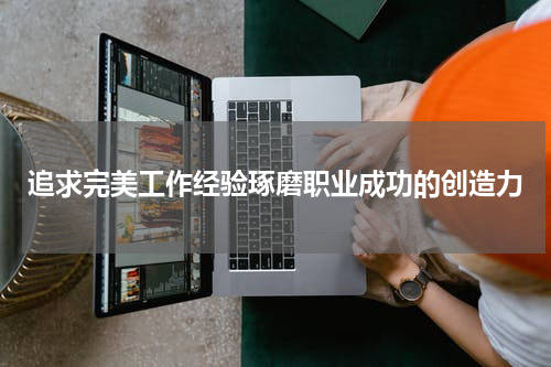 追求完美工作经验琢磨职业成功的创造力