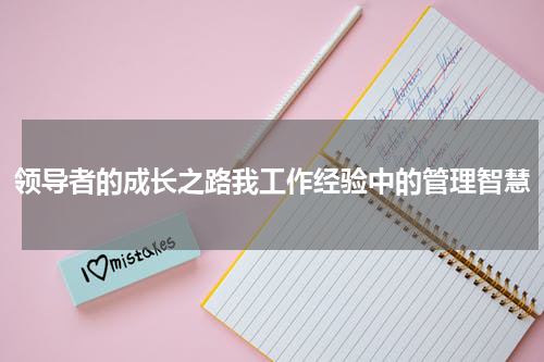 领导者的成长之路我工作经验中的管理智慧