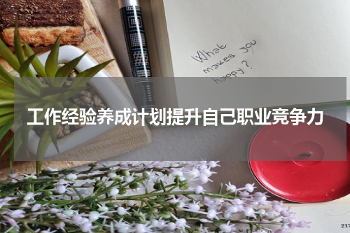 工作经验养成计划提升自己职业竞争力