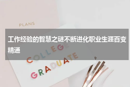 工作经验的智慧之谜不断进化职业生涯百变精通