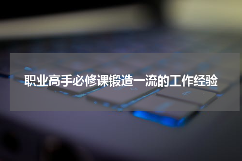 职业高手必修课锻造一流的工作经验