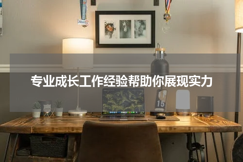 专业成长工作经验帮助你展现实力