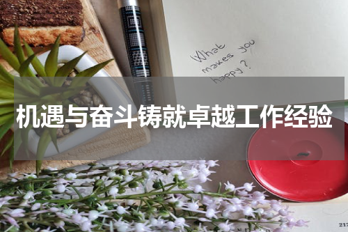 机遇与奋斗铸就卓越工作经验