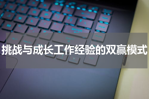 挑战与成长工作经验的双赢模式