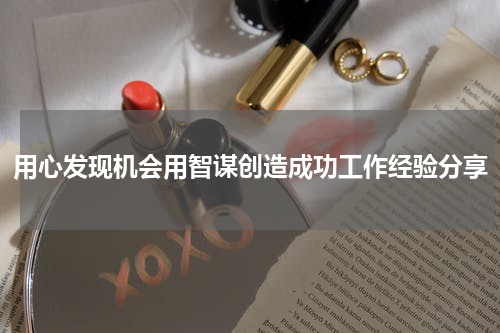 用心发现机会用智谋创造成功工作经验分享