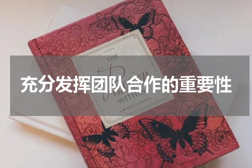 充分发挥团队合作的重要性