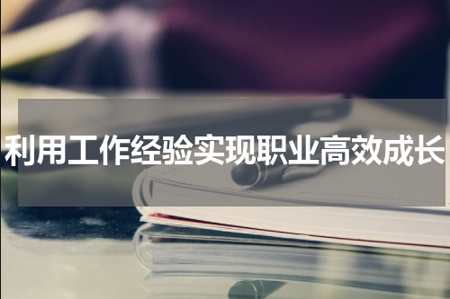 利用工作经验实现职业高效成长