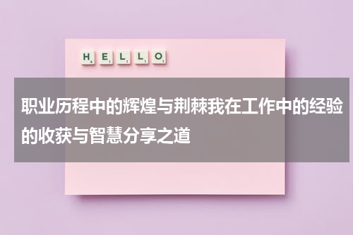 职业历程中的辉煌与荆棘我在工作中的经验的收获与智慧分享之道