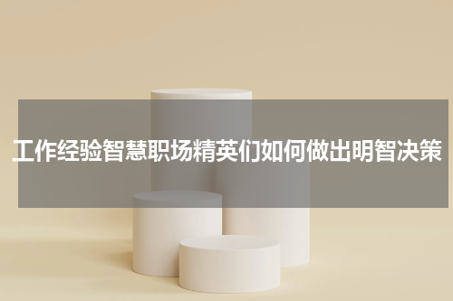 工作经验智慧职场精英们如何做出明智决策