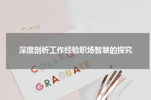 深度剖析工作经验职场智慧的探究