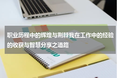 职业历程中的辉煌与荆棘我在工作中的经验的收获与智慧分享之道路
