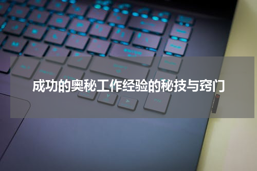 成功的奥秘工作经验的秘技与窍门