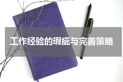工作经验的瑕疵与完善策略