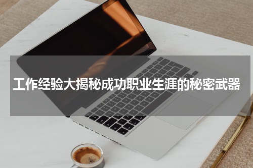工作经验大揭秘成功职业生涯的秘密武器