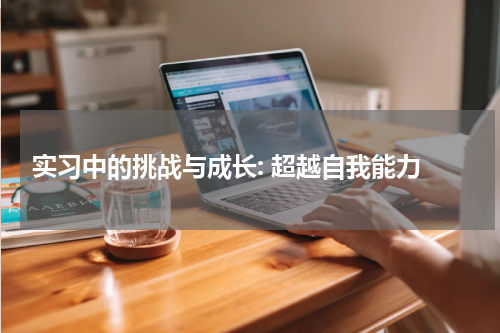  实习中的挑战与成长: 超越自我能力