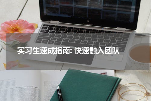  实习生速成指南: 快速融入团队