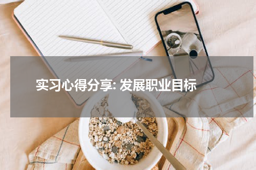  实习心得分享: 发展职业目标