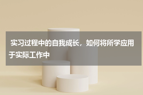  实习过程中的自我成长，如何将所学应用于实际工作中 