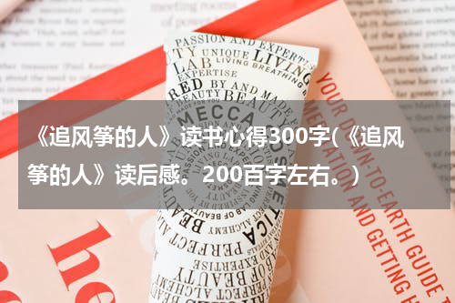《追风筝的人》读书心得300字(《追风筝的人》读后感。200百字左右。)