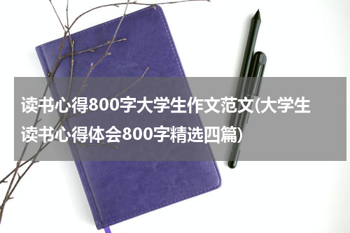读书心得800字大学生作文范文(大学生读书心得体会800字精选四篇)