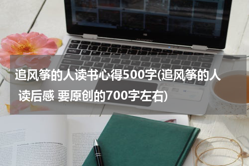 追风筝的人读书心得500字(追风筝的人 读后感 要原创的700字左右)