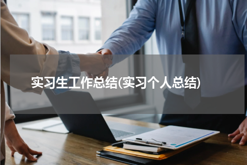 实习生工作总结(实习个人总结)