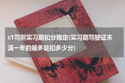 c1驾照实习期扣分规定(实习期驾驶证末满一年的最多能扣多少分)