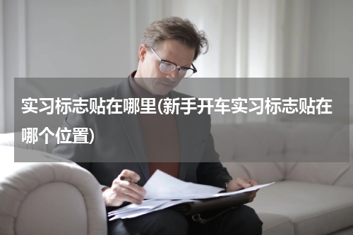 实习标志贴在哪里(新手开车实习标志贴在哪个位置)