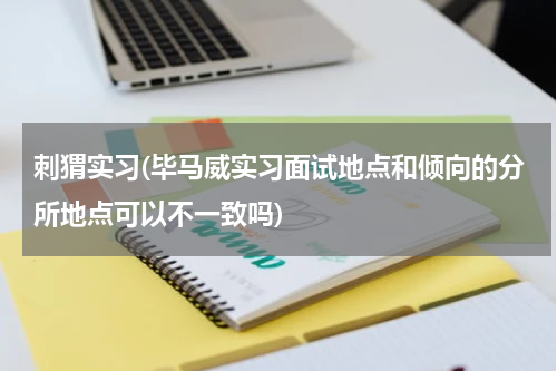 刺猬实习(毕马威实习面试地点和倾向的分所地点可以不一致吗)