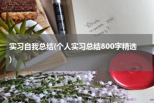 实习自我总结(个人实习总结800字精选)
