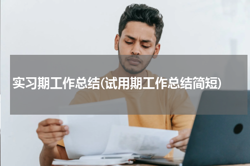 实习期工作总结(试用期工作总结简短)
