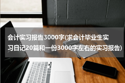 会计实习报告3000字(求会计毕业生实习日记20篇和一份3000字左右的实习报告)