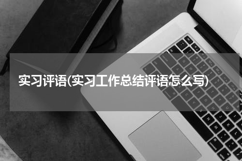 实习评语(实习工作总结评语怎么写)