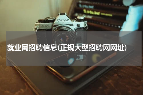 就业网招聘信息(正规大型招聘网网址)