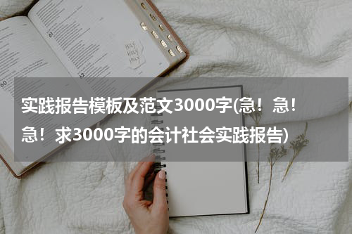 实践报告模板及范文3000字(急！急！急！求3000字的会计社会实践报告)