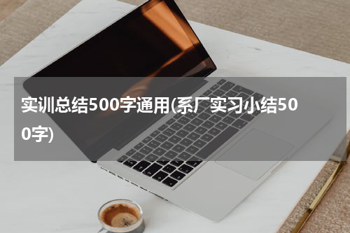实训总结500字通用(系厂实习小结500字)