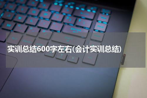 实训总结600字左右(会计实训总结)