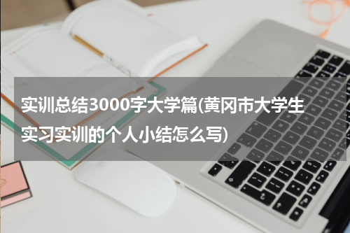 实训总结3000字大学篇(黄冈市大学生实习实训的个人小结怎么写)